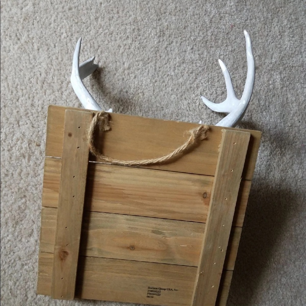 Antlers - Picture 5 of 5